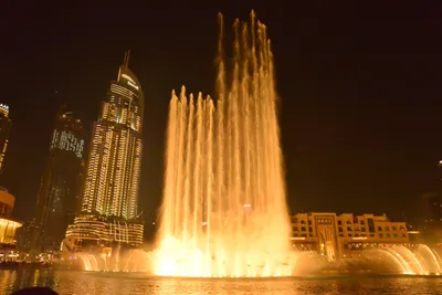 DSC_4159 (Large).JPG